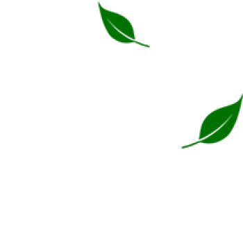 logo01